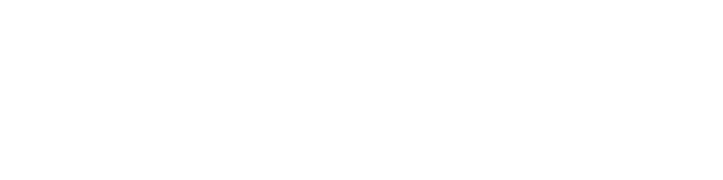 Acnem Logo